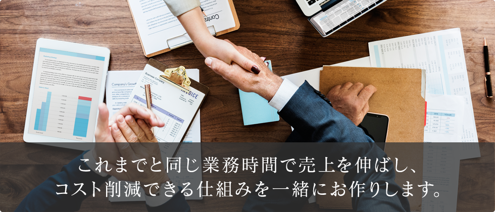 IT Wings Japanコンサルタントチーム